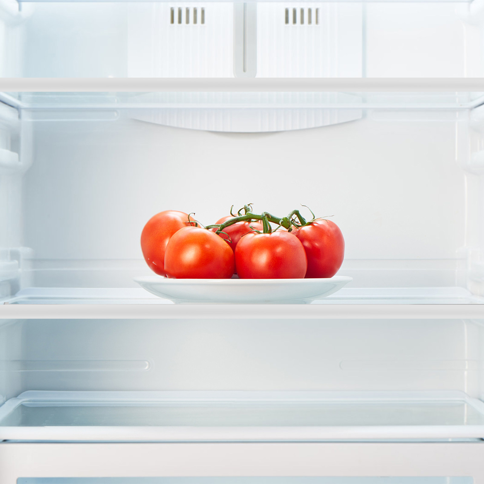 Divisorio per Frigorifero in V - Food Storage With Dividers recensione e prezzo