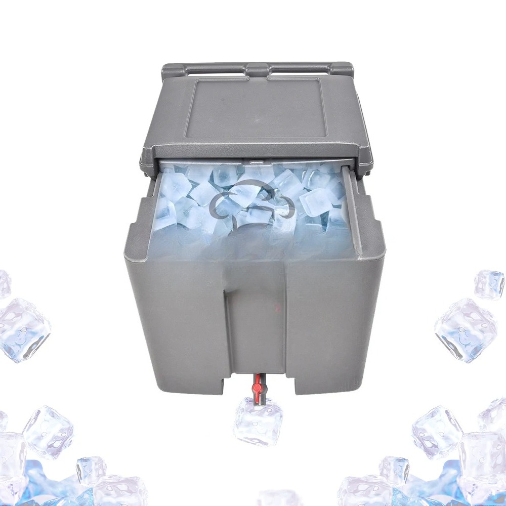 Contenitore per il ghiaccio da - Food Storage Facilities recensione e prezzo