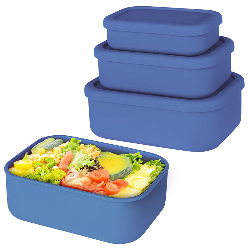 Bento Lunch Box resistente all - Food Storage Containers B&M recensione e prezzo