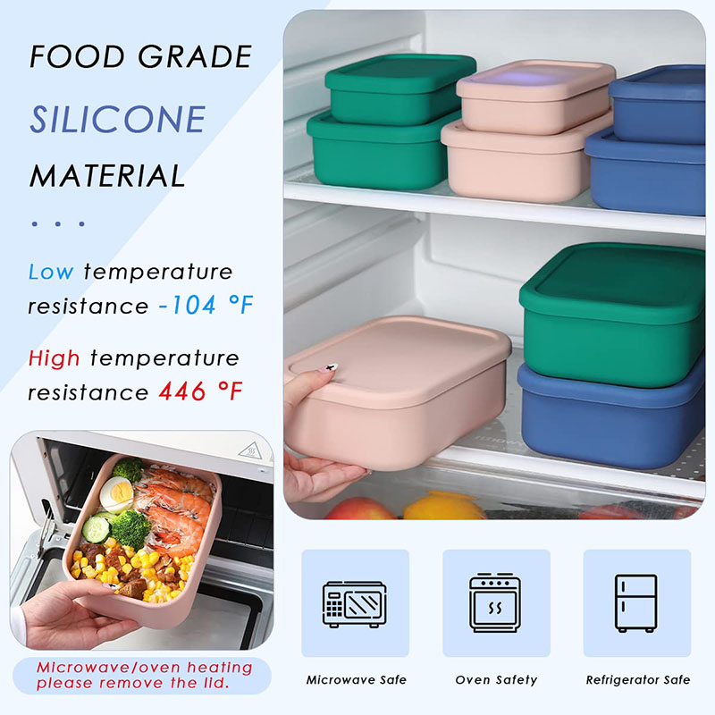 Bento Lunch Box resistente all - Food Storage Containers B&M recensione e prezzo