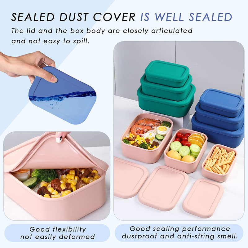 Bento Lunch Box resistente all - Food Storage Containers B&M recensione e prezzo