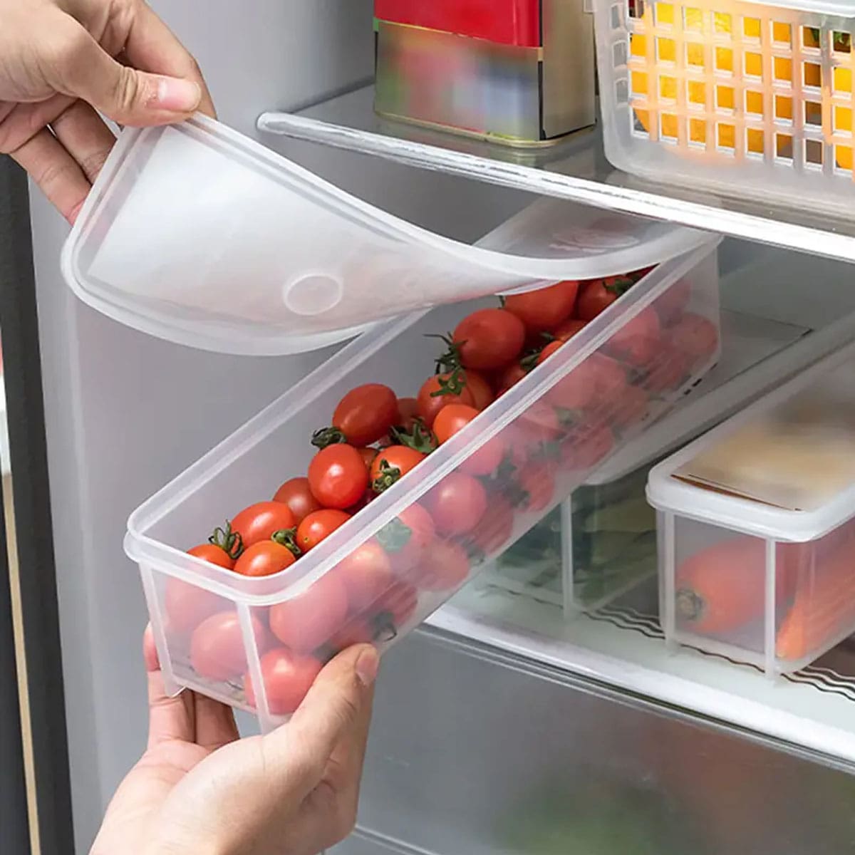 1 scatola portaoggetti in plas - Food Storage Containers B&M recensione e prezzo