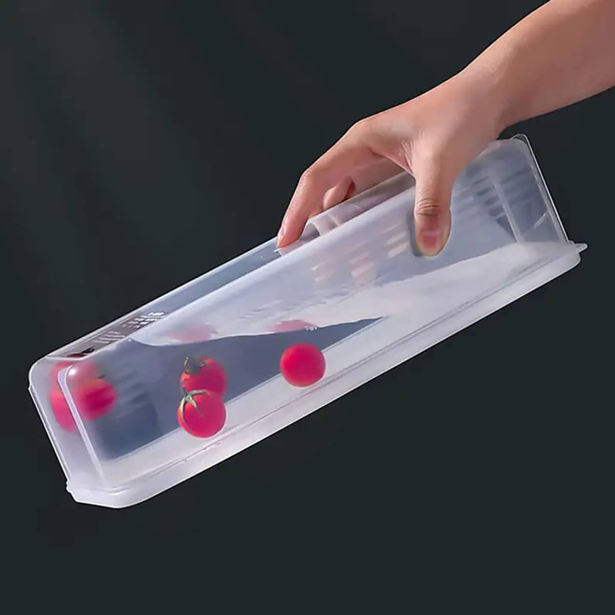 1 scatola portaoggetti in plas - Food Storage Containers B&M recensione e prezzo